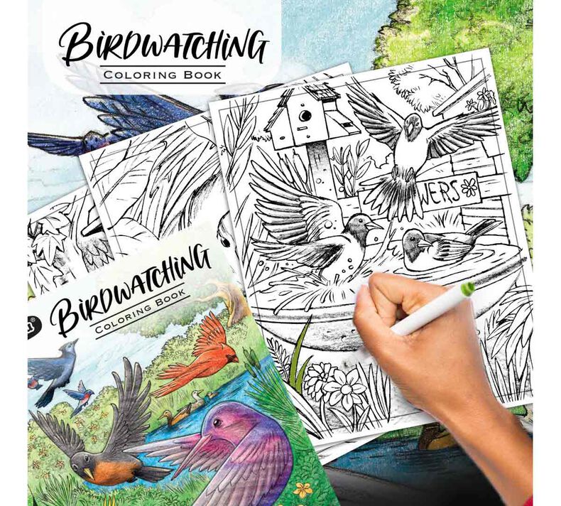 Crayola 40-Page Coloring Book, Bird Watching