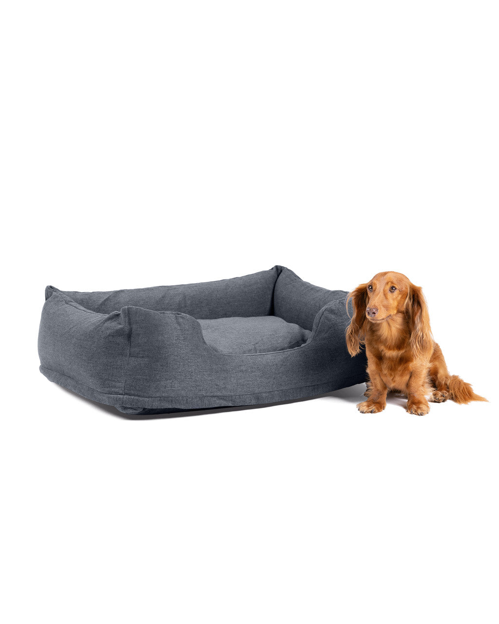 INTEX Portable Inflatable Pet Bed (Small) – Travel-Friendly Washable Dog/Cat Bed Includes Hand Pump - Image 4