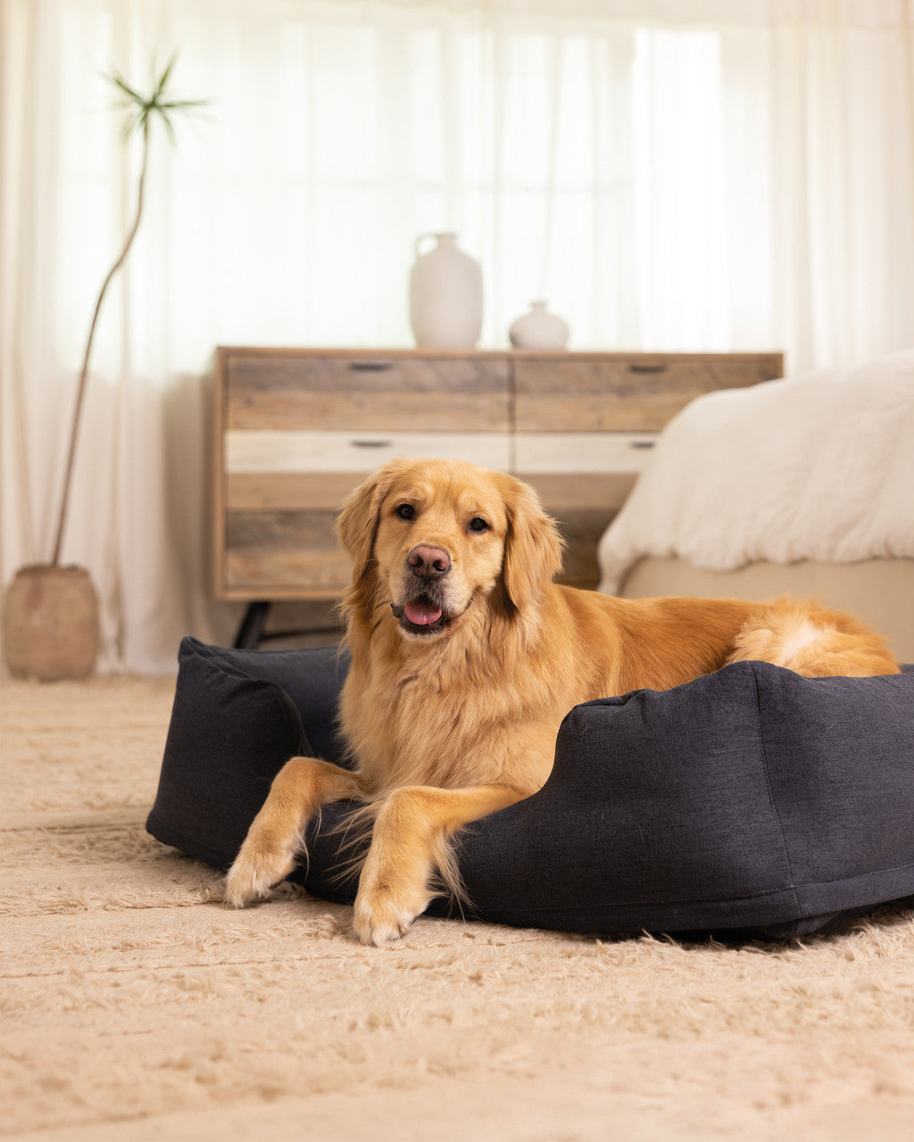 INTEX Portable Inflatable Pet Bed (Medium) – Cozy Travel Lounger for Pets with Removable Machine-Washable Cover - Image 7