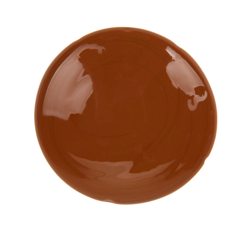 PAINT,BROWN,WASHABLE 16 OZ PLASTIC SQUEEZE BOTTLE3 - Image 3