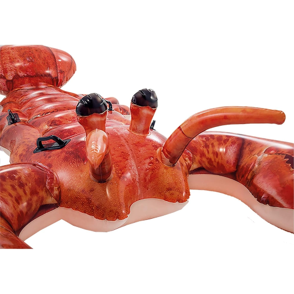 INTEX Giant Lobster Ride-On Pool Float – Realistic 3D Inflatable Shellfish with Heavy-Duty Handles - Image 3
