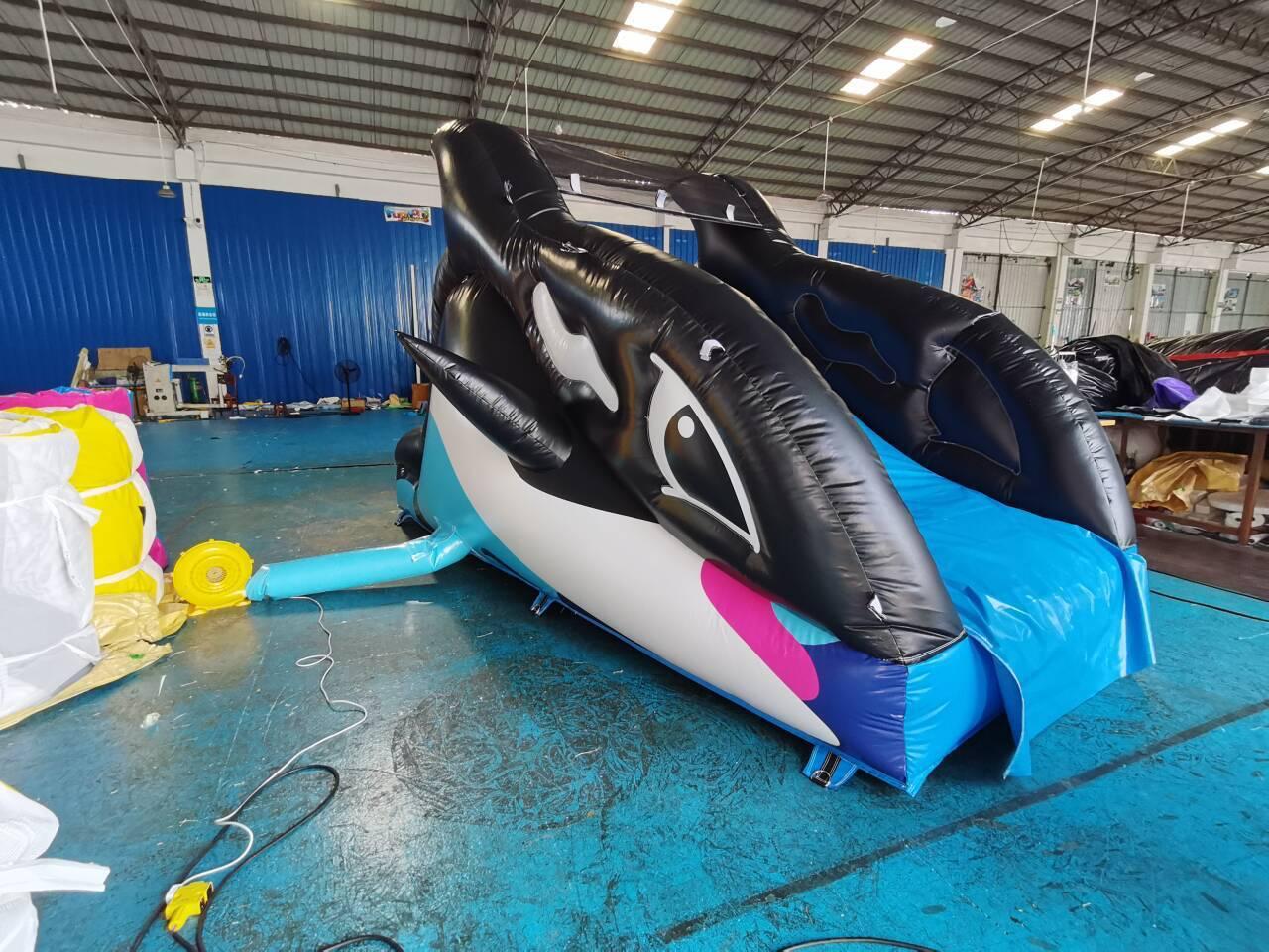 New Dolphin pool slide
