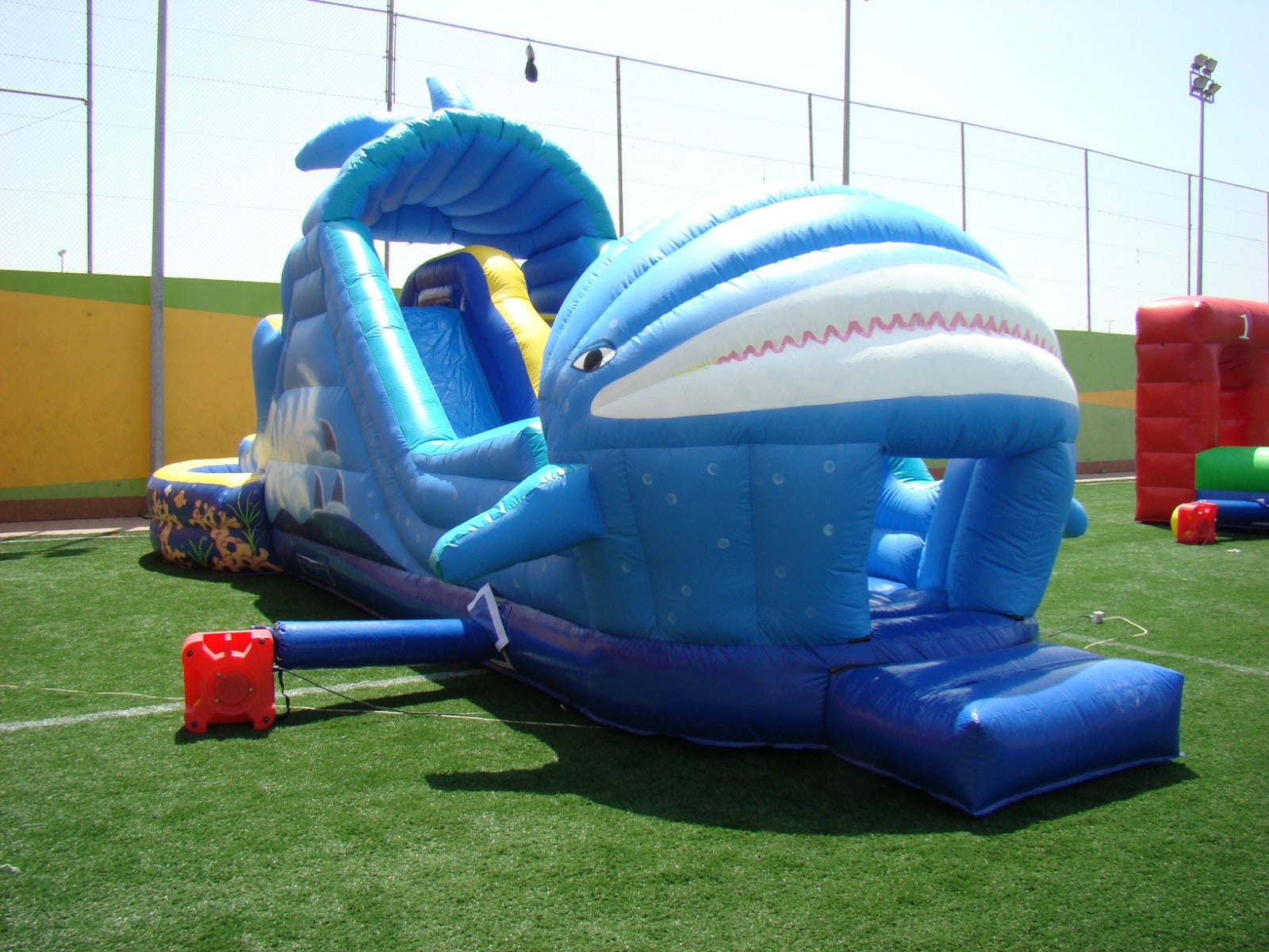 Whale Pool Jumping Castle