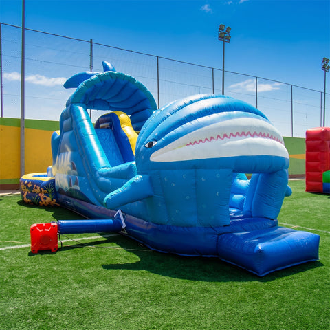 Whale Pool Jumping Castle
