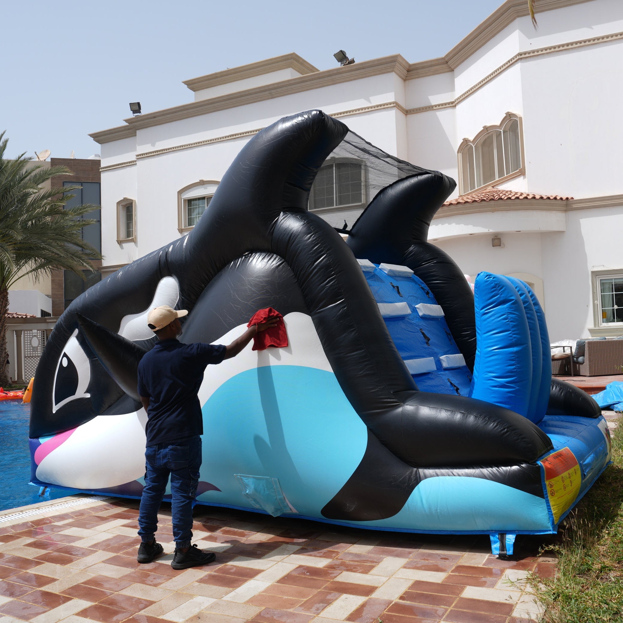 زحليقة المسبح الدولفين الجديدة